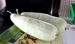 博肖吃瓜,揭秘娱乐圈背后的那些事儿