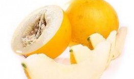 冻伊丽莎白瓜可以吃吗,冻伊丽莎白瓜的食用安全与美味探索