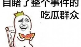 吃瓜群众视频素材,视频素材中的趣味众生相