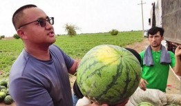 瓜瓜吃瓜图片中班