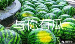 广西演艺学院 吃瓜