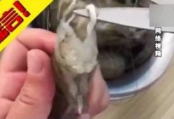 寄生虫吃瓜,瓜果的隐秘威胁