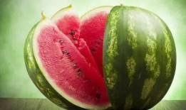 适当吃瓜,吃瓜解暑，揭秘夏日消暑美食攻略