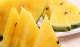 吃瓜图瓜子,揭秘吃瓜图中的瓜子奥秘