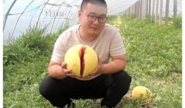 吃瓜网友小姜,揭秘娱乐圈那些不为人知的幕后故事