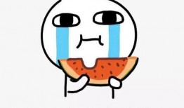 嘟嘟吃瓜小说,揭秘娱乐圈背后的秘密与真相