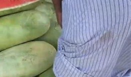 吃的最大的瓜,探寻世界上吃的最大瓜的秘密