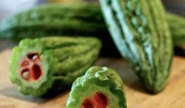 吃瓜冻坏了,吃瓜冻坏了的趣味回顾