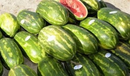 星线网络吃瓜,揭秘娱乐圈背后的吃瓜真相