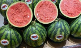 629吃瓜网访问,热门话题背后的网络影响力