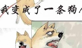 小说人物吃瓜,跟随小说人物共品人生百味