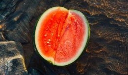 默吃瓜