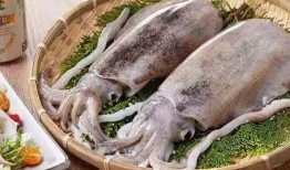 乌贼吃瓜视频大全,趣味视频大全集锦