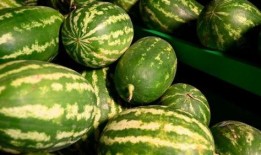 太原网红吃瓜事件,揭秘网络舆论的风暴与真相